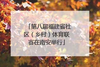 第八届福建省社区（乡村）体育联赛在南安举行