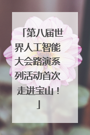 第八届世界人工智能大会路演系列活动首次走进宝山！