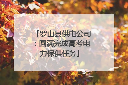 罗山县供电公司：圆满完成高考电力保供任务