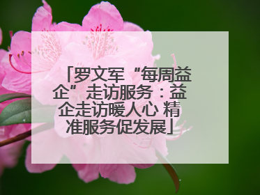 罗文军“每周益企”走访服务：益企走访暖人心 精准服务促发展