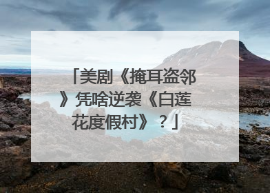 美剧《掩耳盗邻》凭啥逆袭《白莲花度假村》？