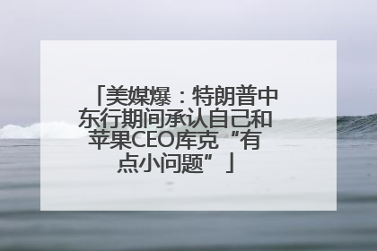 美媒爆：特朗普中东行期间承认自己和苹果CEO库克“有点小问题”