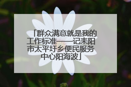 群众满意就是我的工作标准——记耒阳市太平圩乡便民服务中心阳海波