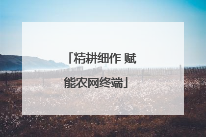 精耕细作 赋能农网终端