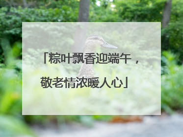 粽叶飘香迎端午，敬老情浓暖人心