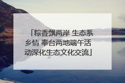 粽香飘两岸 生态系乡情 奉台两地端午活动深化生态文化交流