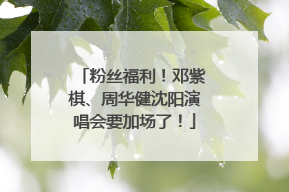 粉丝福利！邓紫棋、周华健沈阳演唱会要加场了！