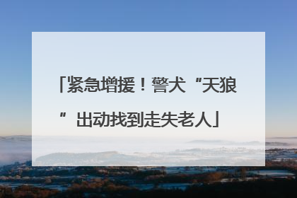 紧急增援！警犬“天狼”出动找到走失老人
