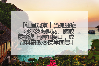 红星观察丨当孤独症、阿尔茨海默病、脑胶质瘤遇上脑机接口，成都科研改变医学图景