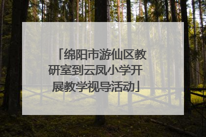 绵阳市游仙区教研室到云凤小学开展教学视导活动