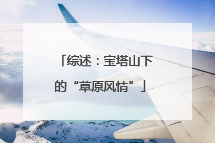 综述：宝塔山下的“草原风情”
