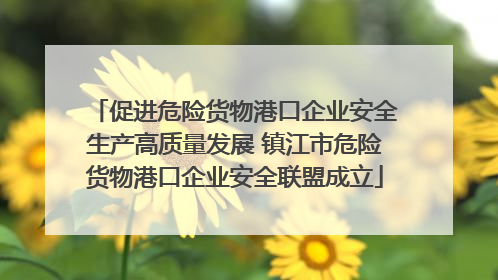 促进危险货物港口企业安全生产高质量发展 镇江市危险货物港口企业安全联盟成立