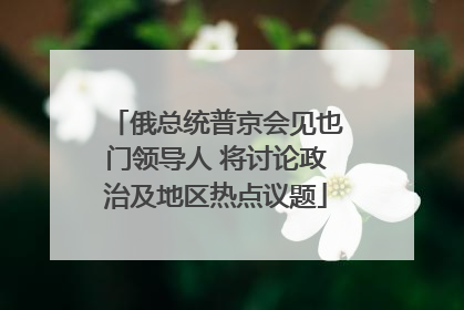 俄总统普京会见也门领导人 将讨论政治及地区热点议题