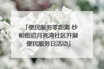 便民服务零距离 纱帽街道月亮湾社区开展便民服务日活动