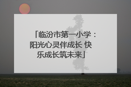 临汾市第一小学：阳光心灵伴成长 快乐成长筑未来