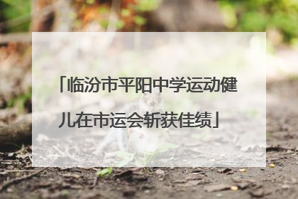 临汾市平阳中学运动健儿在市运会斩获佳绩
