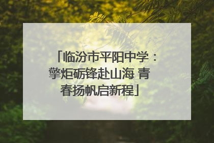 临汾市平阳中学：擎炬砺锋赴山海 青春扬帆启新程