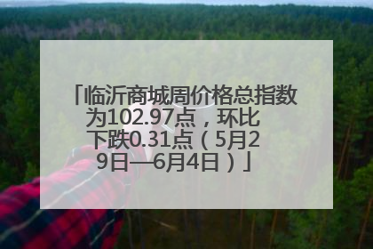 临沂商城周价格总指数为102.97点，环比下跌0.31点（5月29日—6月4日）