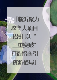 临沂聚力攻坚大项目招引 以“三重突破”打造招商引资新格局