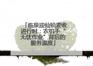 临泉迎仙镇麦收进行时：农机手“无忧作业”背后的服务温度
