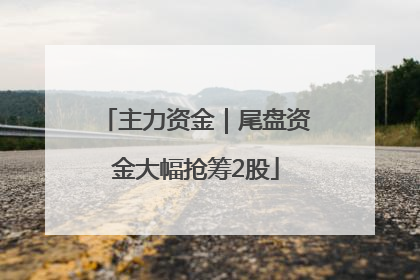 主力资金｜尾盘资金大幅抢筹2股