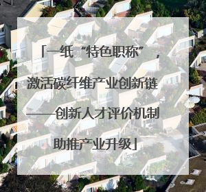一纸“特色职称”，激活碳纤维产业创新链——创新人才评价机制 助推产业升级