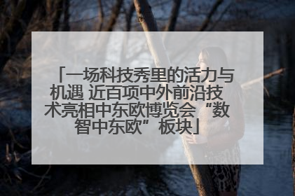 一场科技秀里的活力与机遇 近百项中外前沿技术亮相中东欧博览会“数智中东欧”板块