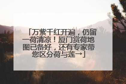 万紫千红开遍，仍留一荷清凉！厦门赏荷地图已备好，还有专家带您区分荷与莲→