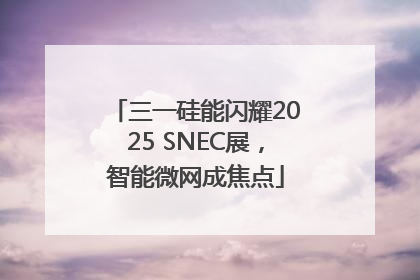 三一硅能闪耀2025 SNEC展，智能微网成焦点
