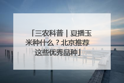 三农科普｜夏播玉米种什么？北京推荐这些优秀品种