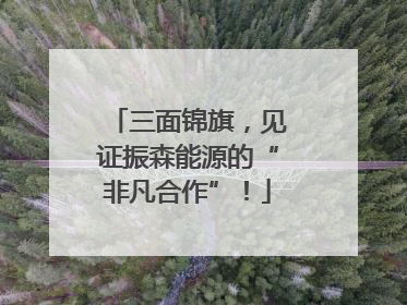 三面锦旗，见证振森能源的“非凡合作”！