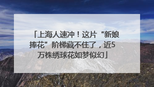 上海人速冲！这片“新娘捧花”阶梯藏不住了，近5万株绣球花如梦似幻