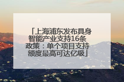 上海浦东发布具身智能产业支持16条政策：单个项目支持额度最高可达亿级