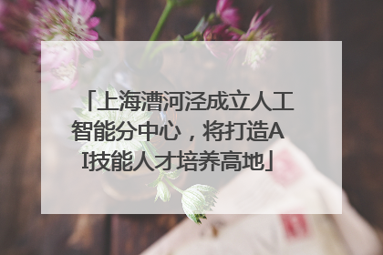 上海漕河泾成立人工智能分中心，将打造AI技能人才培养高地