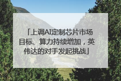 上调AI定制芯片市场目标、算力持续增加，英伟达的对手发起挑战