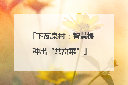 下瓦泉村：智慧棚种出“共富菜”