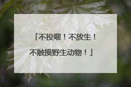 不投喂！不放生！不触摸野生动物！