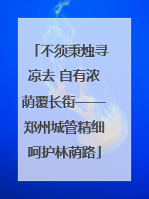 不须秉烛寻凉去 自有浓荫覆长街——郑州城管精细呵护林荫路