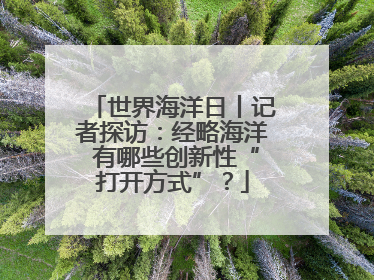 世界海洋日丨记者探访：经略海洋 有哪些创新性“打开方式”？