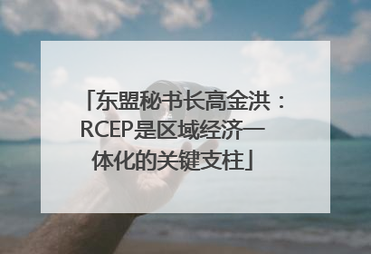 东盟秘书长高金洪：RCEP是区域经济一体化的关键支柱