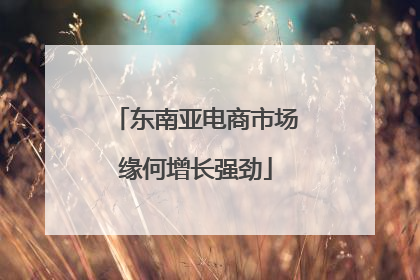 东南亚电商市场缘何增长强劲