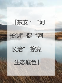 东安：“河长制”促“河长治” 擦亮生态底色