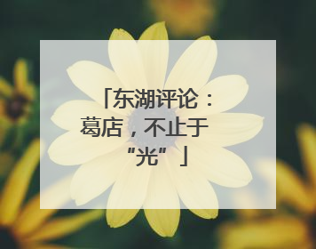 东湖评论：葛店，不止于“光”