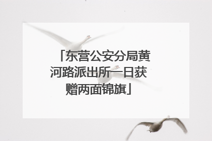东营公安分局黄河路派出所一日获赠两面锦旗