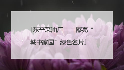 东辛采油厂——擦亮“城中家园”绿色名片