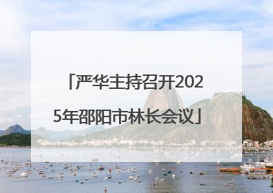严华主持召开2025年邵阳市林长会议