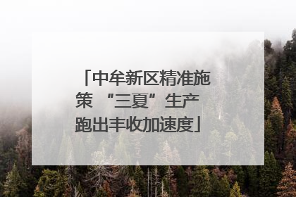 中牟新区精准施策 “三夏”生产跑出丰收加速度
