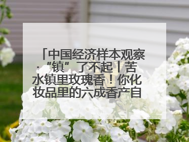 中国经济样本观察·“镇”了不起丨苦水镇里玫瑰香！你化妆品里的六成香产自这个小镇