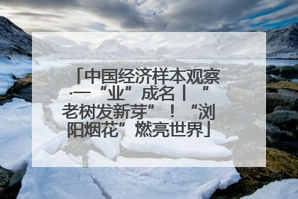 中国经济样本观察·一“业”成名丨“老树发新芽”！“浏阳烟花”燃亮世界