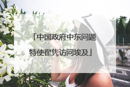 中国政府中东问题特使翟隽访问埃及